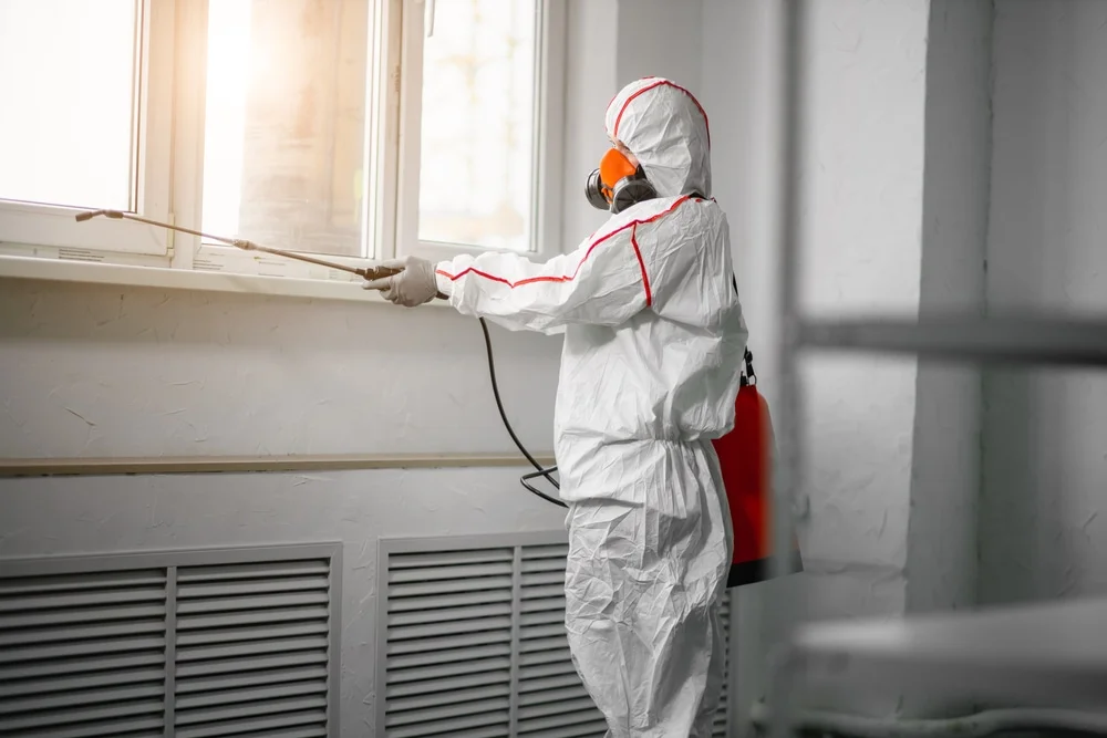 Professional mold remediation services in Young Harris, GA